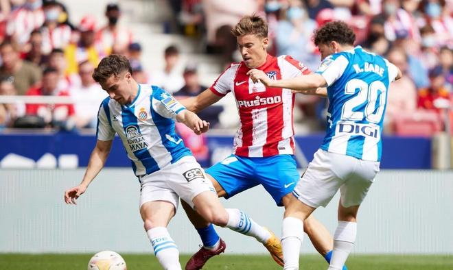 则凭借丰富 则凭借丰富